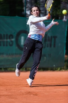 Bild 534 - NL Uhlenhorster HC - VfL Westercelle : Ergebnis: 1:8